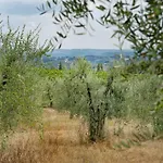 Villasanpaolo & Hotel San Gimignano